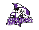 Martha's Vineyard Sharks Baseball Team